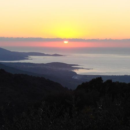 Gites Ruraux Aria Falcona Santa-Maria-Figaniella Camera foto