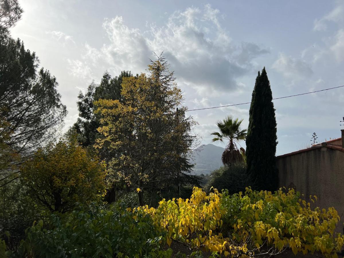 Gites Ruraux Aria Falcona Santa-Maria-Figaniella Esterno foto