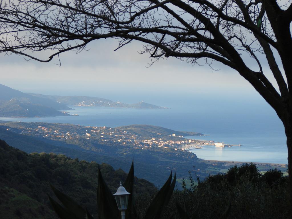 Gites Ruraux Aria Falcona Santa-Maria-Figaniella Camera foto