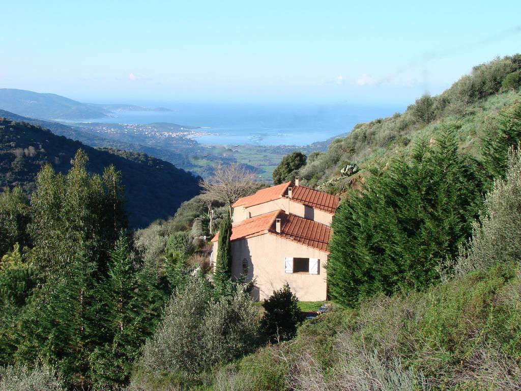 Gites Ruraux Aria Falcona Santa-Maria-Figaniella Camera foto