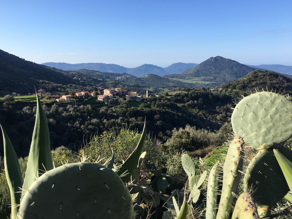 Gites Ruraux Aria Falcona Santa-Maria-Figaniella Esterno foto