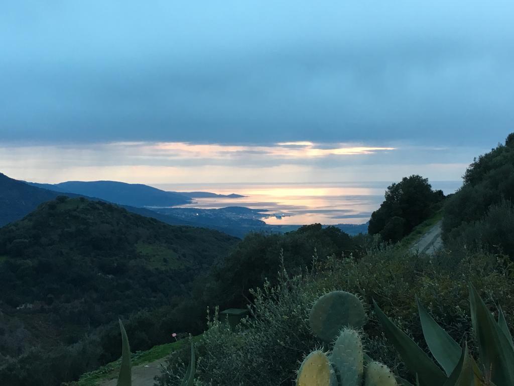 Gites Ruraux Aria Falcona Santa-Maria-Figaniella Esterno foto