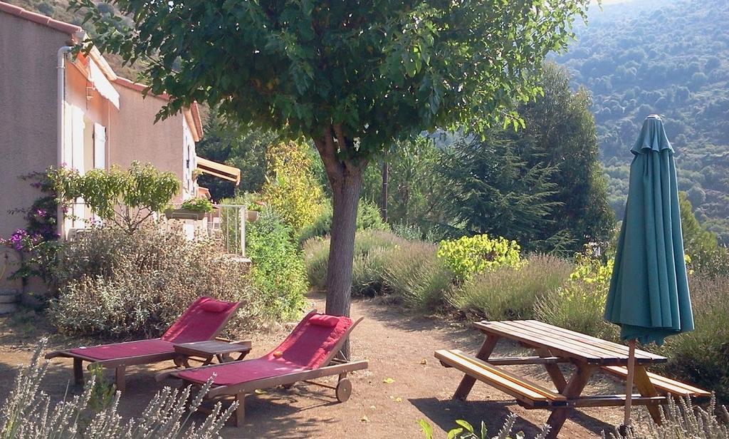 Gites Ruraux Aria Falcona Santa-Maria-Figaniella Esterno foto