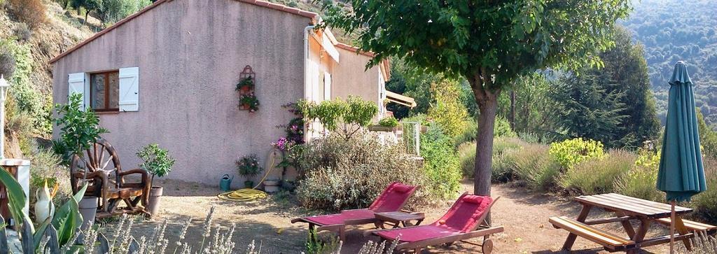 Gites Ruraux Aria Falcona Santa-Maria-Figaniella Esterno foto