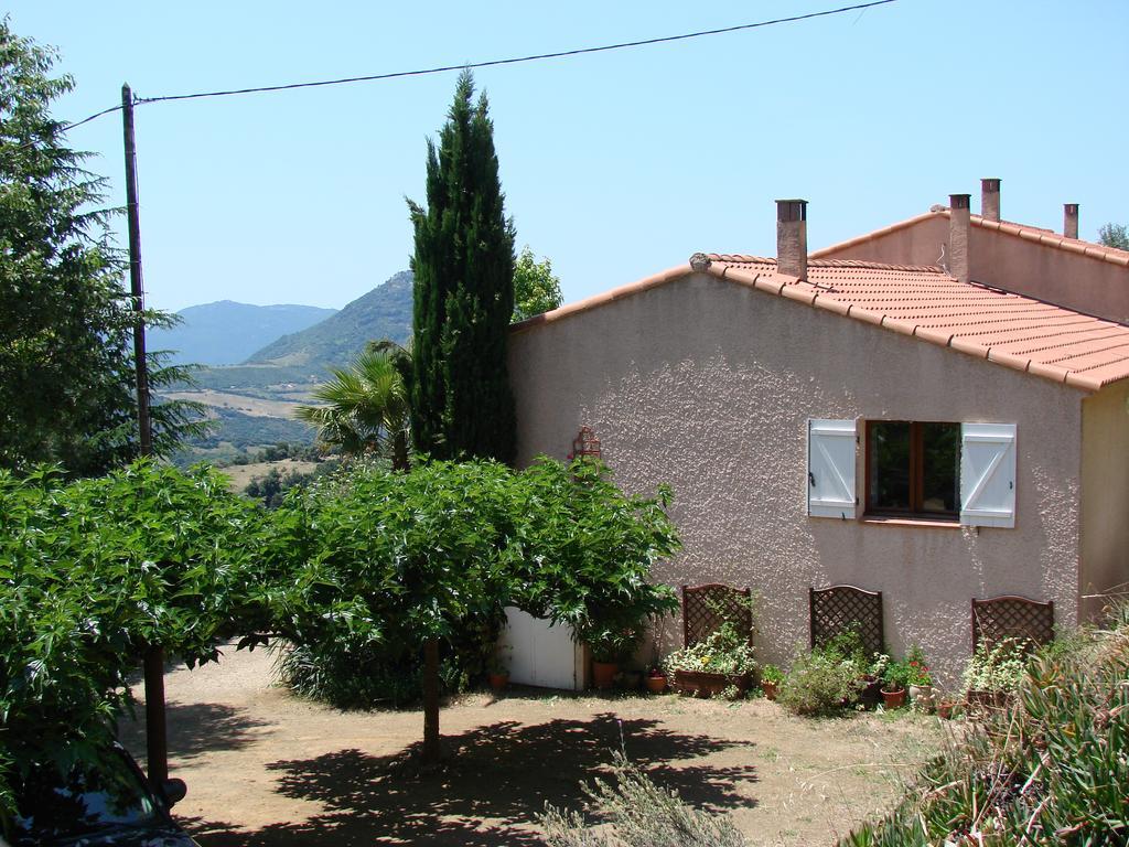 Gites Ruraux Aria Falcona Santa-Maria-Figaniella Esterno foto