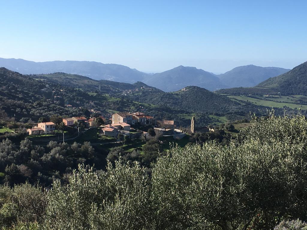 Gites Ruraux Aria Falcona Santa-Maria-Figaniella Esterno foto