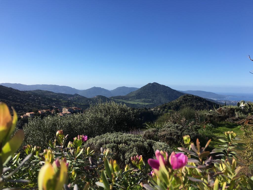 Gites Ruraux Aria Falcona Santa-Maria-Figaniella Esterno foto