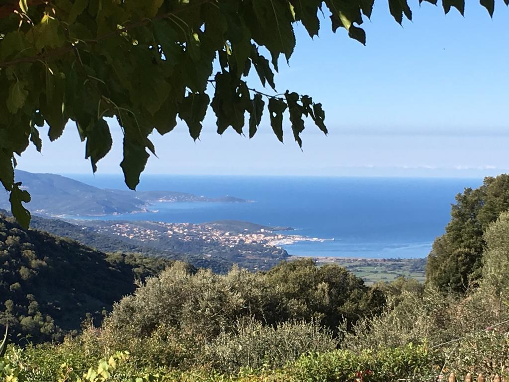 Gites Ruraux Aria Falcona Santa-Maria-Figaniella Esterno foto